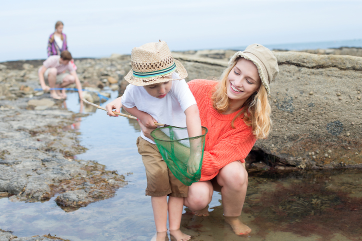 Award-winning Beautiful Beaches in South Devon